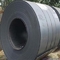 Colded rodó la placa de acero de acero de carbono de las bobinas con el grueso 0.3mm-50m m