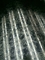 Z180 laminó las bobinas de acero galvanizadas de alta resistencia SPCC SPCD 0.61*1250m m de la placa de acero
