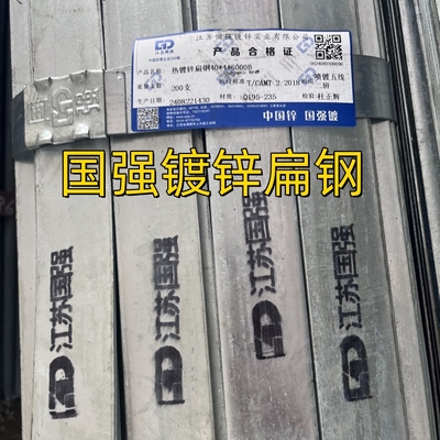 Barras planas de acero galvanizado sumergido en caliente S235JR ASTM A36 para materiales de construcción 60*6*6000MM