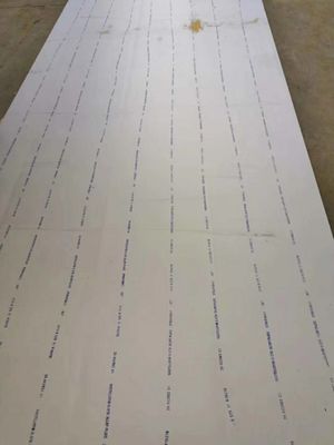 UNS N10276 Placa de aleación Hastelloy C-276